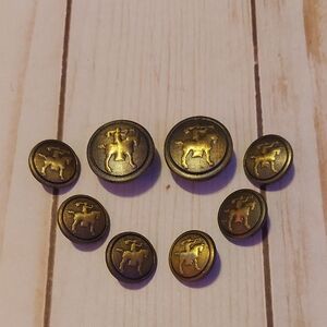 Gold Equestrian Themed Buttons